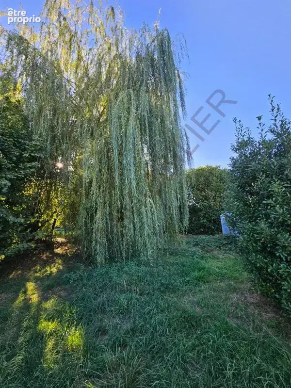 Photo Terrain à Vincelles au prix de 58 000€