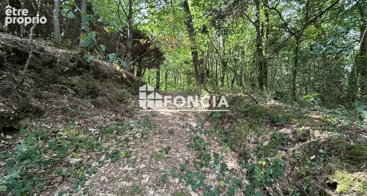 Belle Campagne de Questembert, à 5 minutes du bourg, de ses commerces et services - photo 11