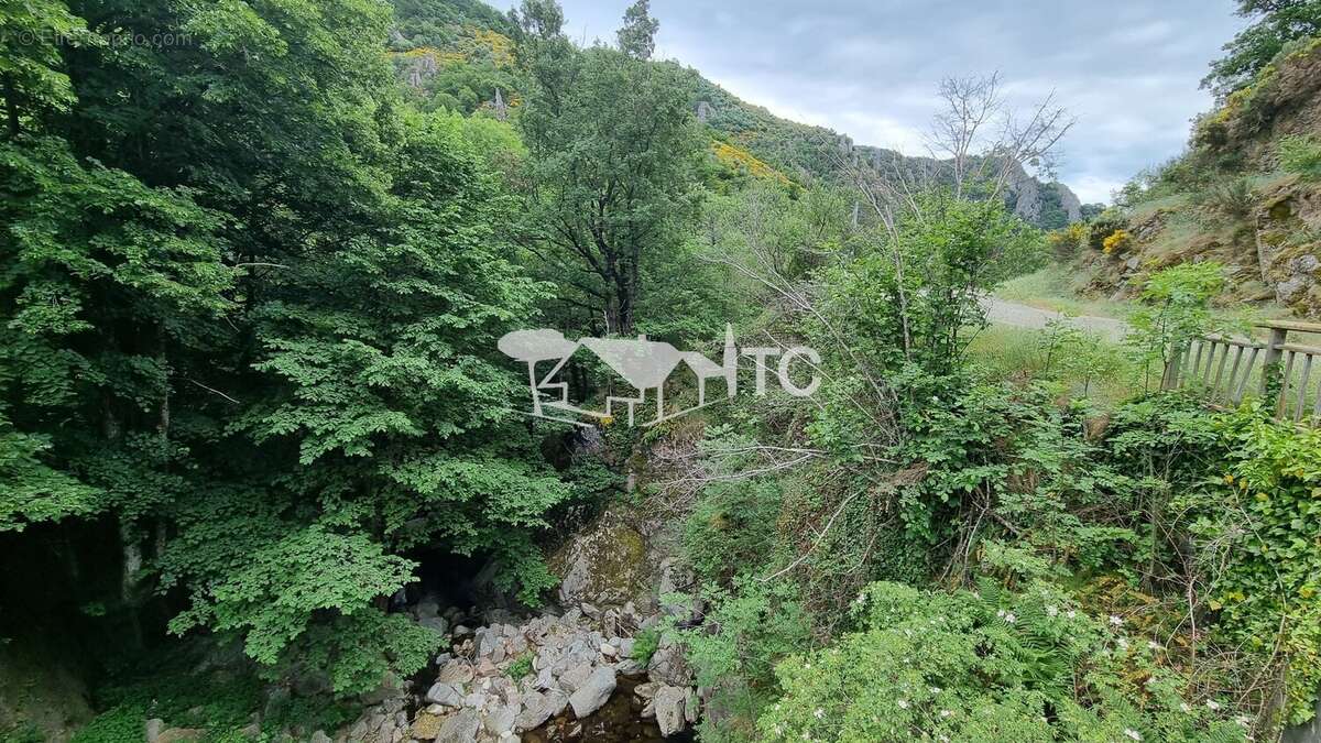 Maison à MONTSELGUES