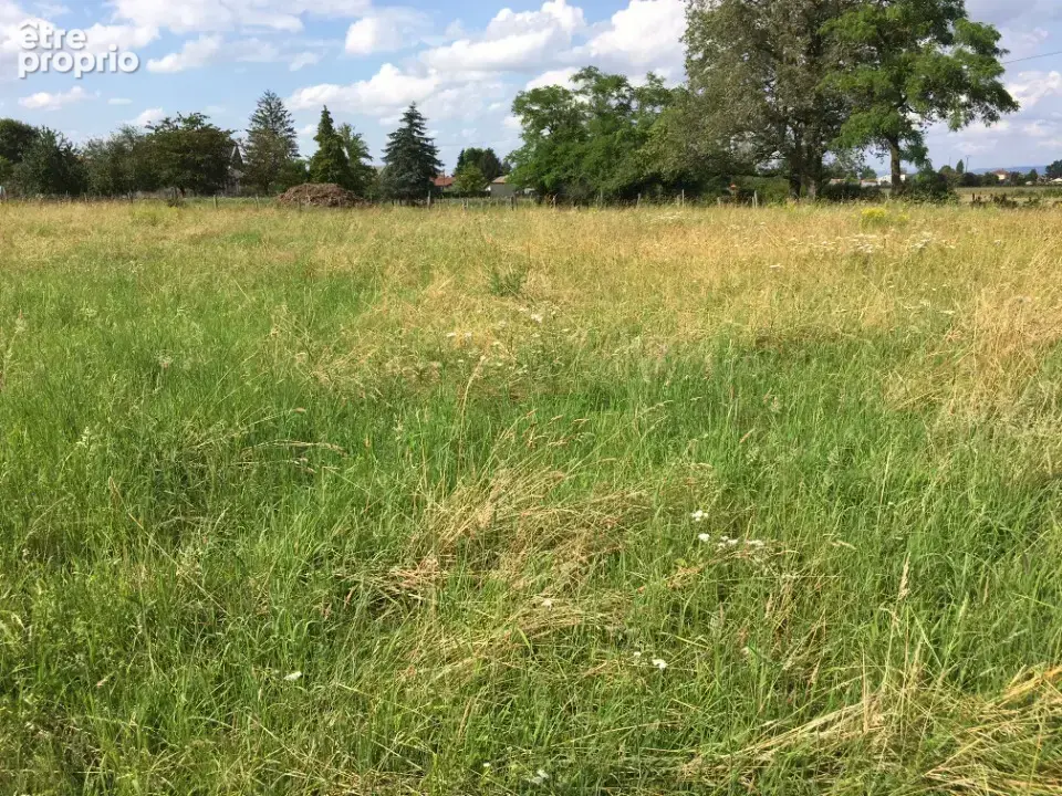 Terrain 530 m² à vendre à Bage-La-Ville (01380) - photo 2