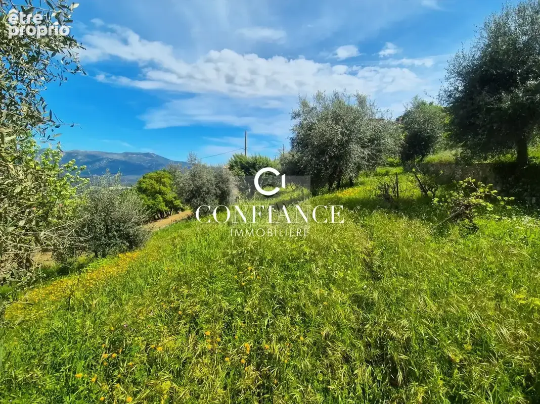 Terrain 1 715 m² à vendre à Chateauneuf-Villevieille (06390) - photo 6