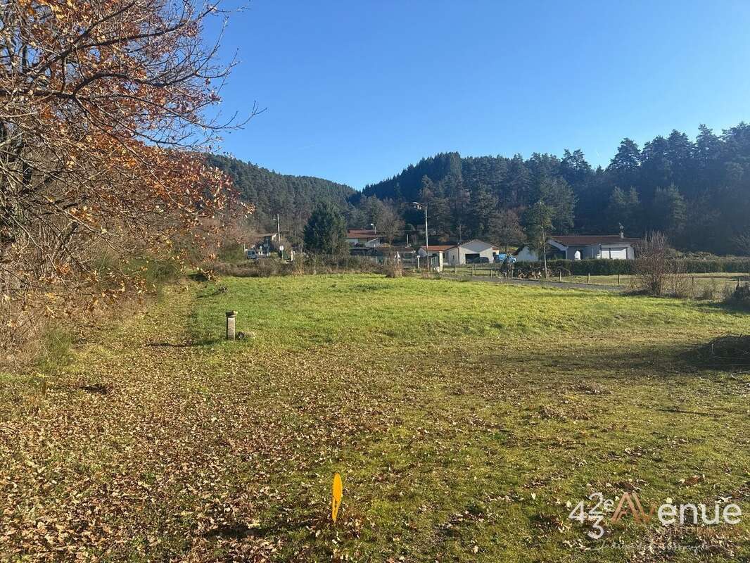Terrain à SAINT-MAURICE-DE-LIGNON