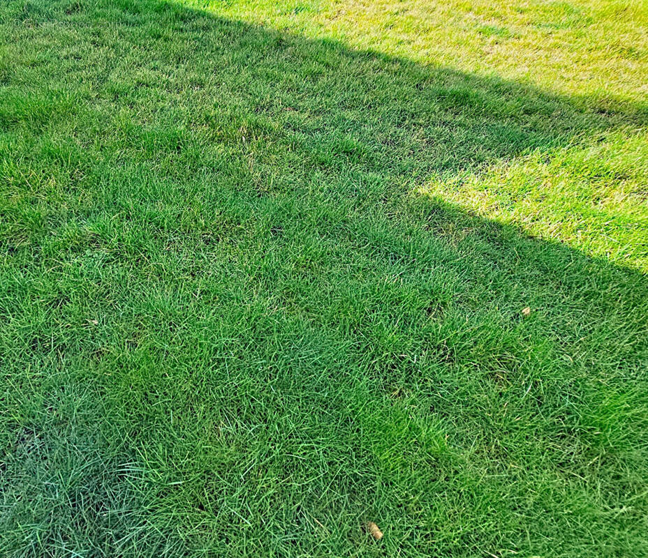 Terrain à BONSECOURS