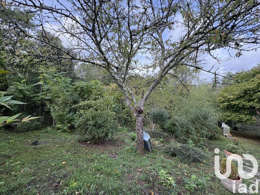 Photo 5 - Terrain à VILLEFRANCHE-DE-LONCHAT