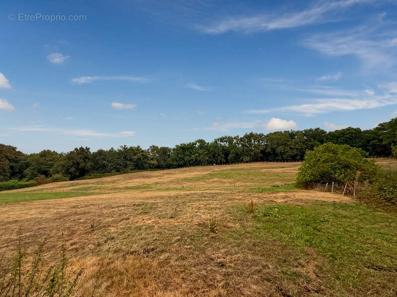 Dpt Gers (32), à vendre BERNEDE Grande maison ancienne de 500 m² habitables à rénover sur 2,5 hectares de terrain, au calme - photo 3
