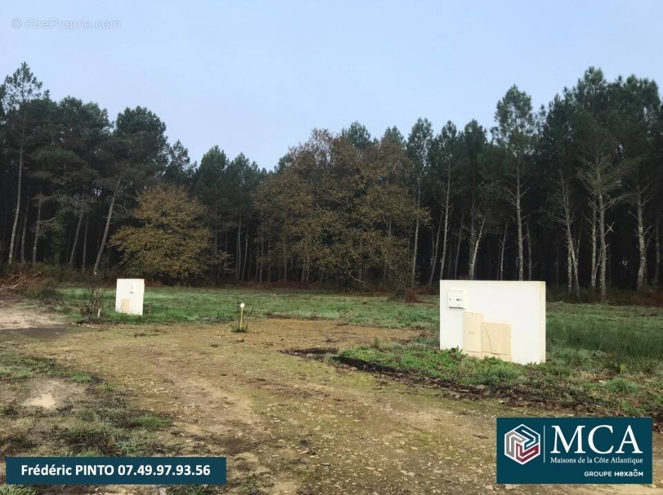 Terrain à SAINT-MARTIN-D'ONEY