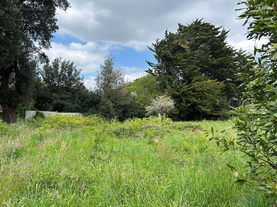 Terrain à LE POULIGUEN