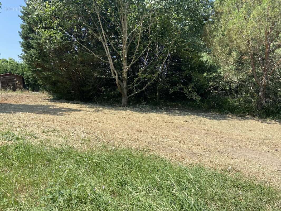 Proche Albi terrain constructible 1800 M² - photo 2