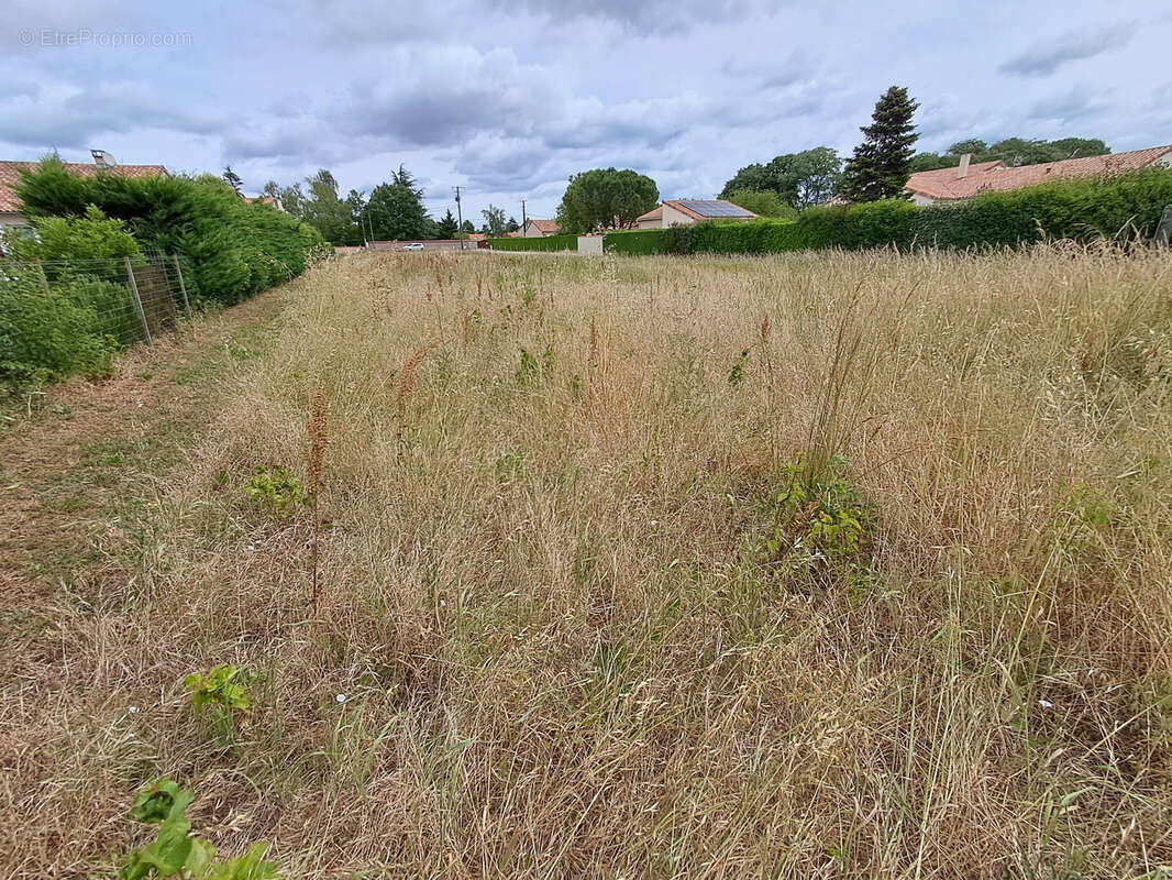 Terrain constructible de 1838m2 MONTAMISE-La Germonière - photo 4