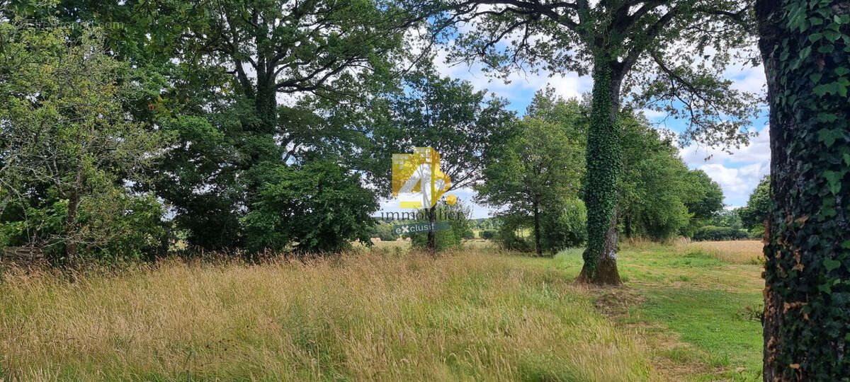 Terrain à PONTCHATEAU