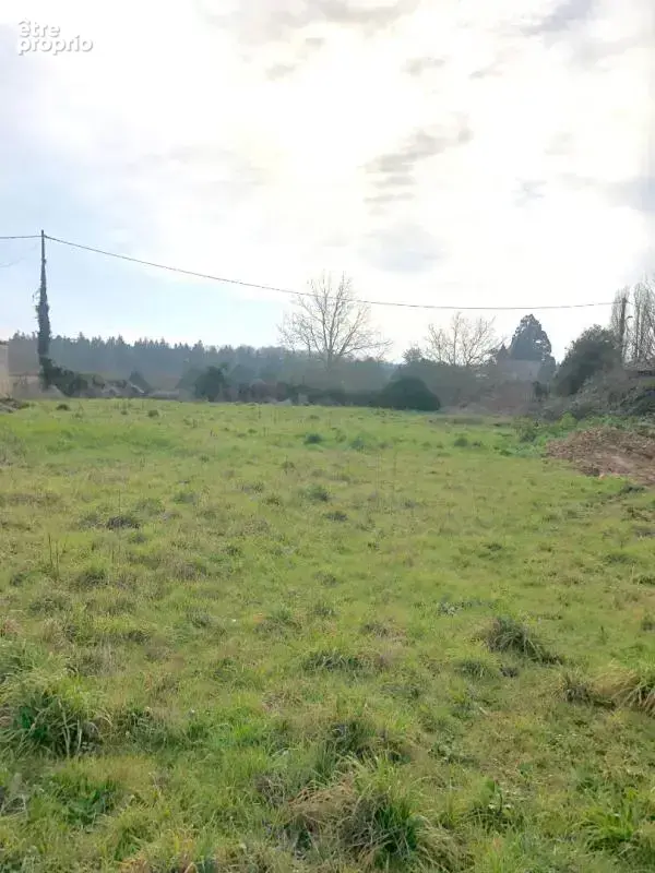 Migné Auxances - Terrain 662 m2 (à bâtir sur 425 m2) viabilisé - lotissement SIGON - Migne Auxances - photo 5