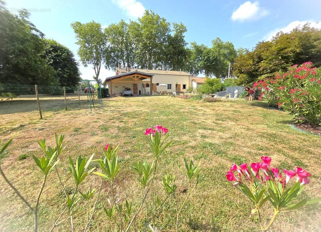 Photo 1 - Maison à CINTEGABELLE