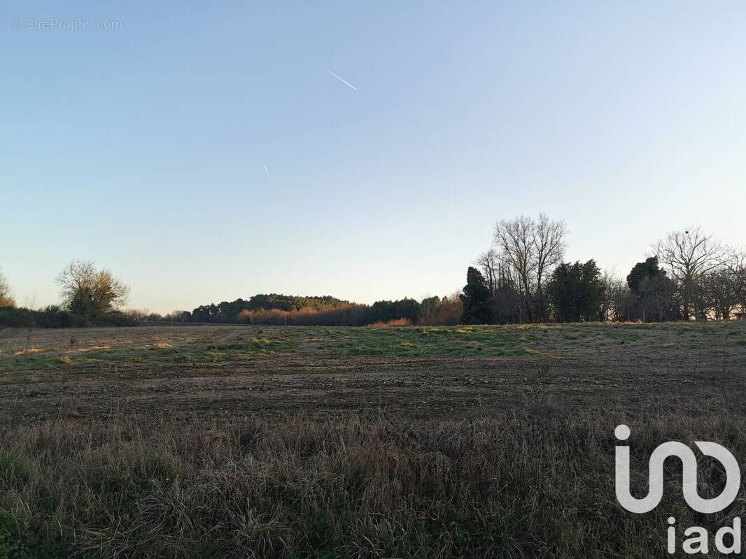 Photo 1 - Terrain à MONTGUYON