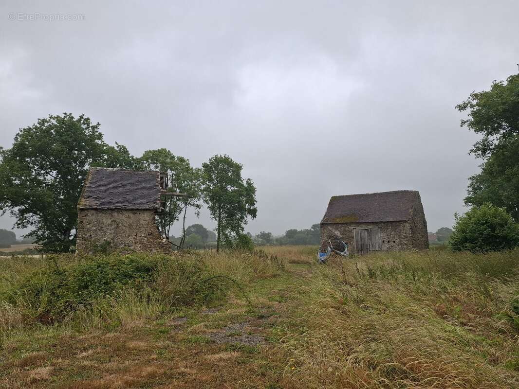Terrain à ASSE-LE-BOISNE