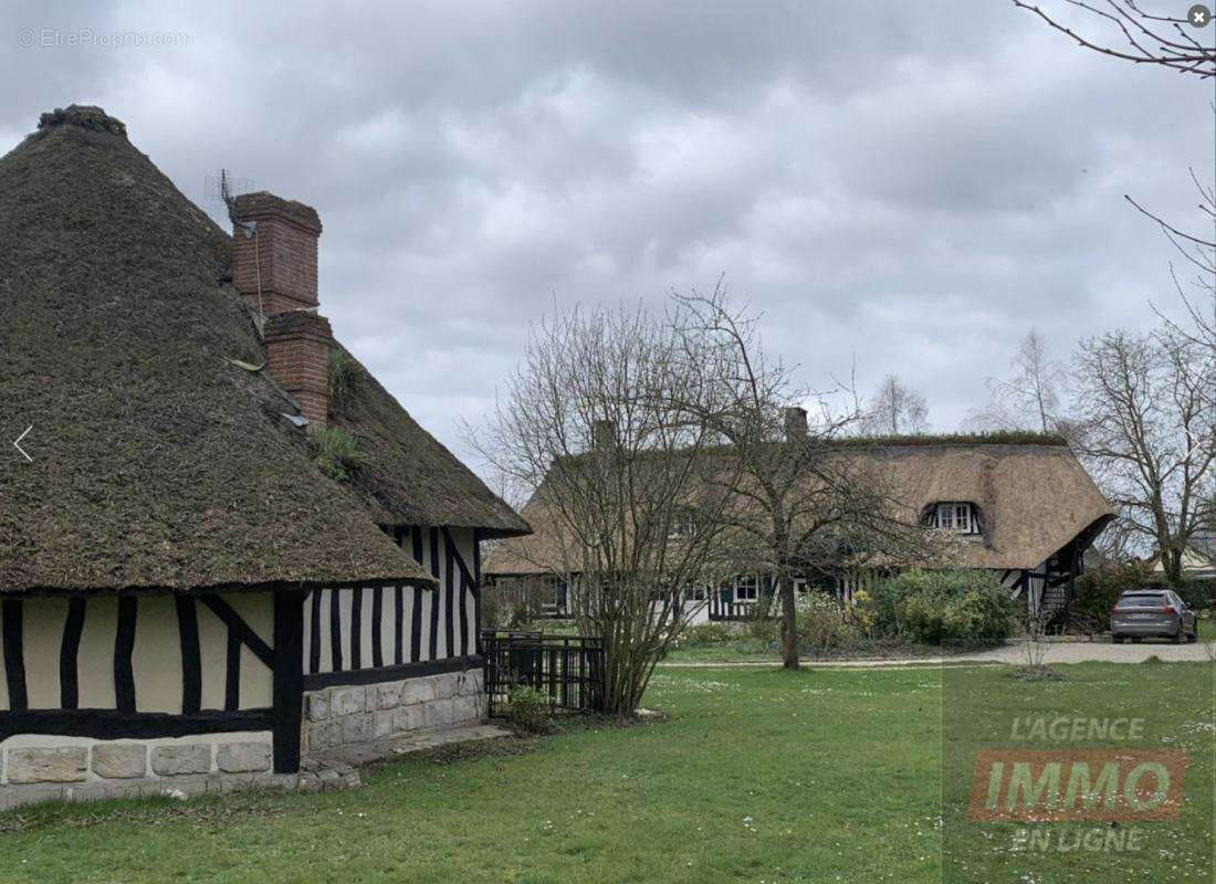 Haras / Equestre - photo 2