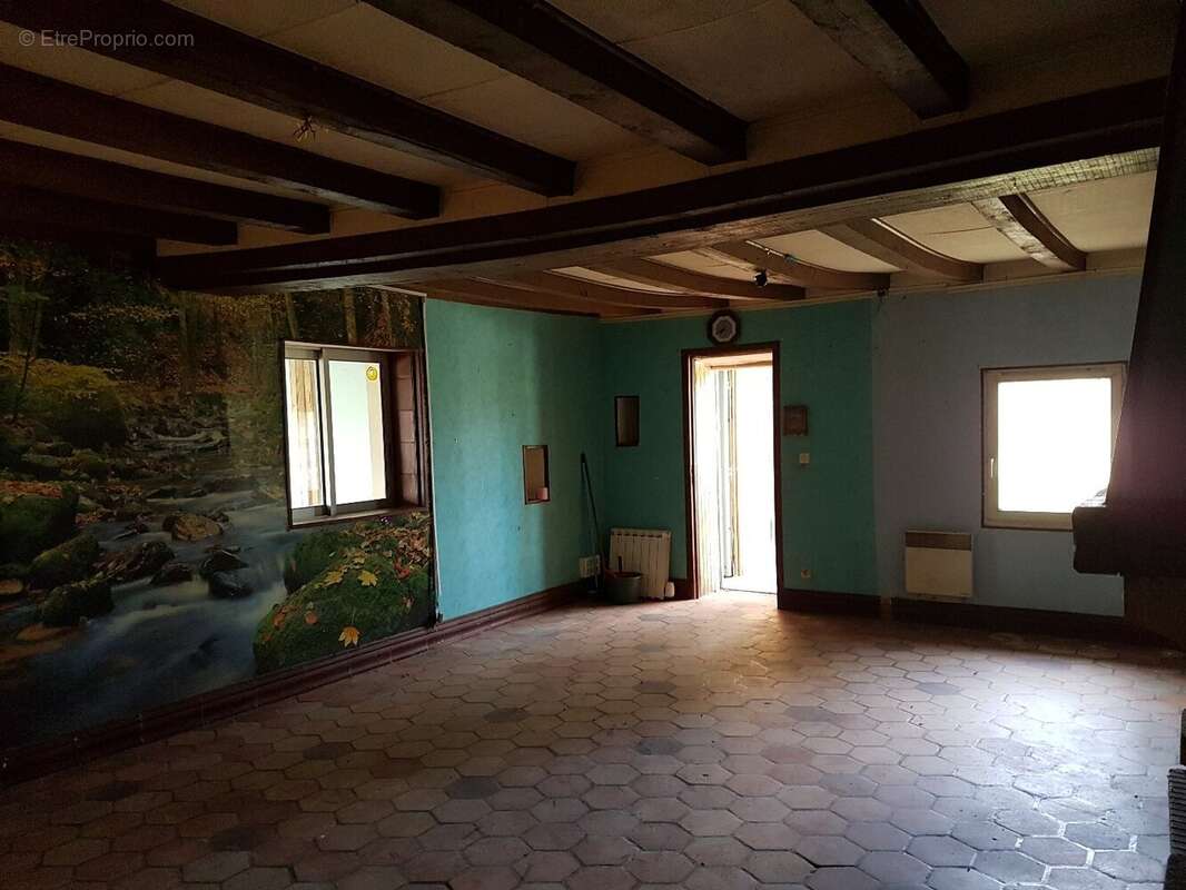 Maison à LOUAILLES