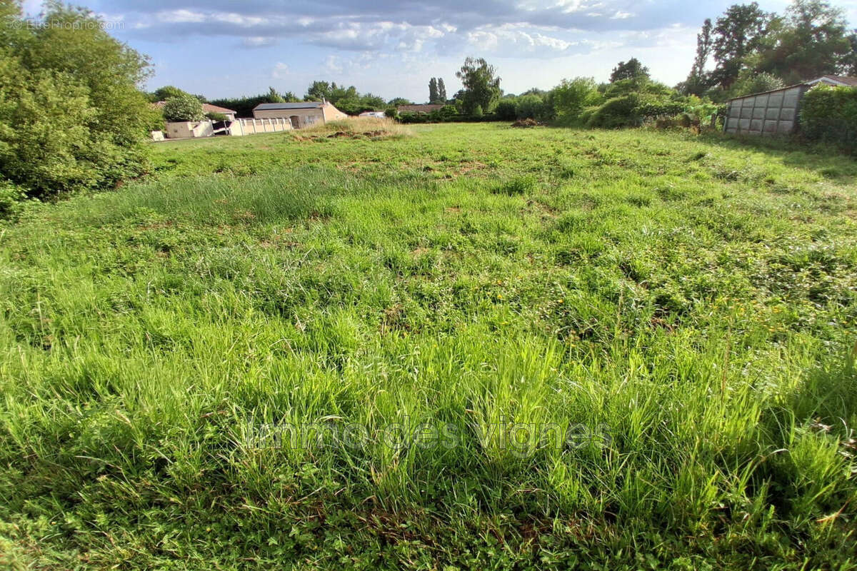 Terrain à AMBARES-ET-LAGRAVE