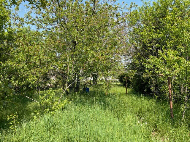 Photo 3 - Maison à LA FERTE-GAUCHER