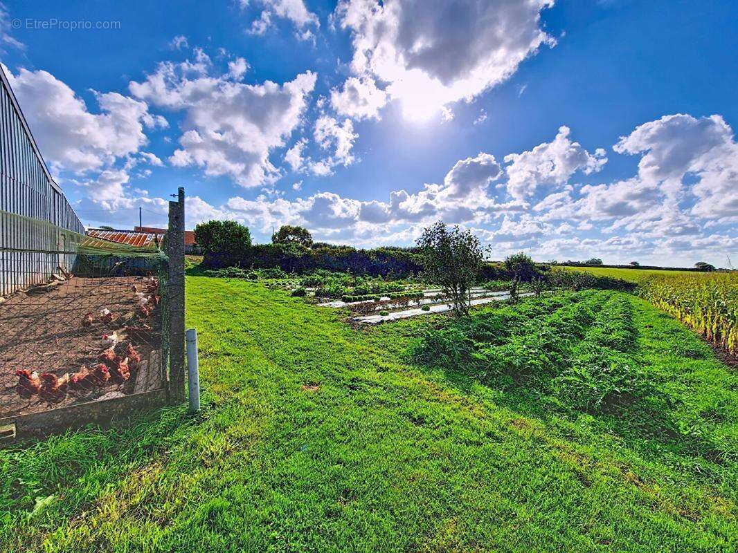 Maison à LANHOUARNEAU