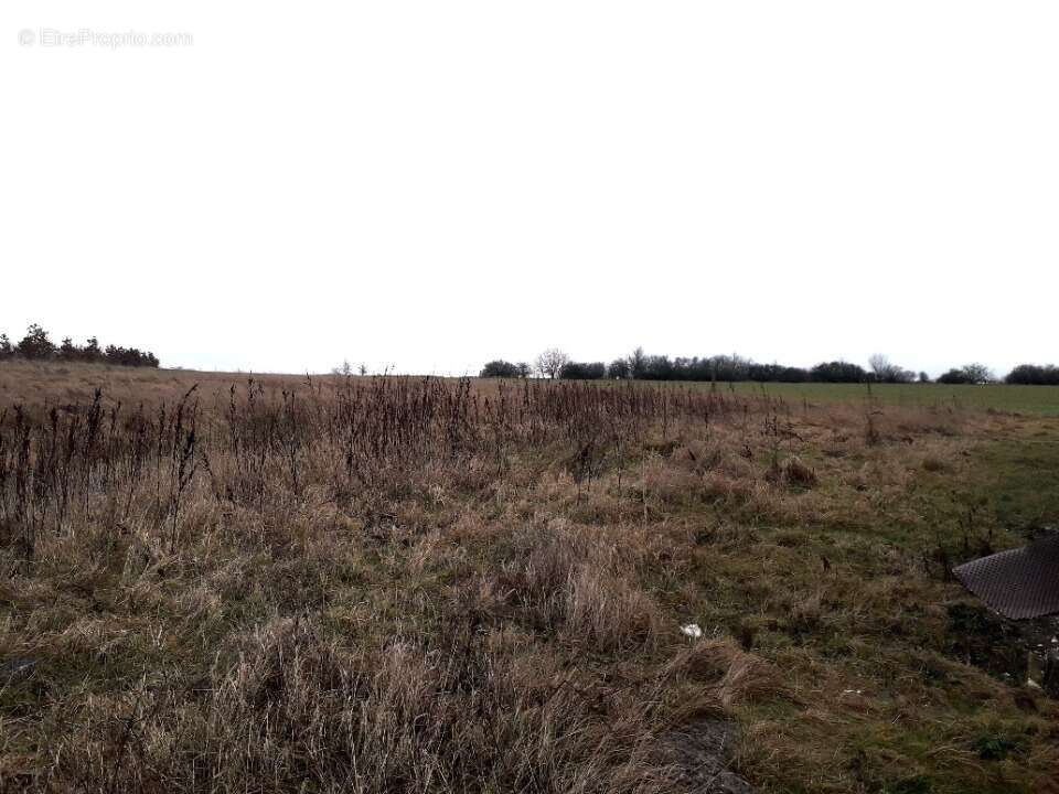 Terrain 615 m² à Farebersviller  - photo 2