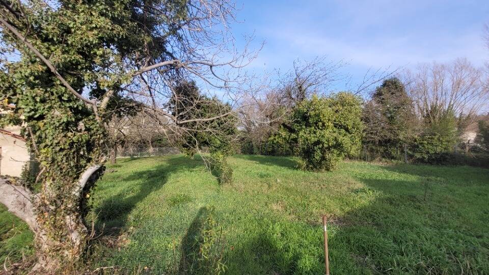 Terrain à CHAMARET