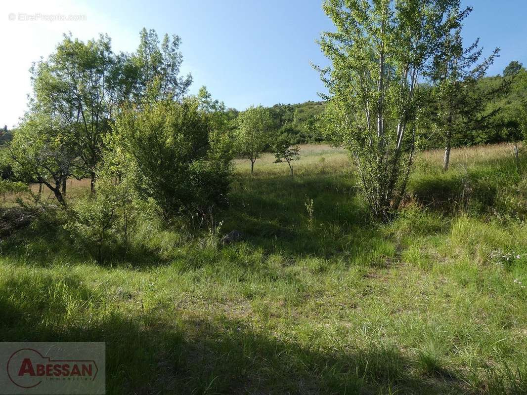 Maison à CORDES-SUR-CIEL