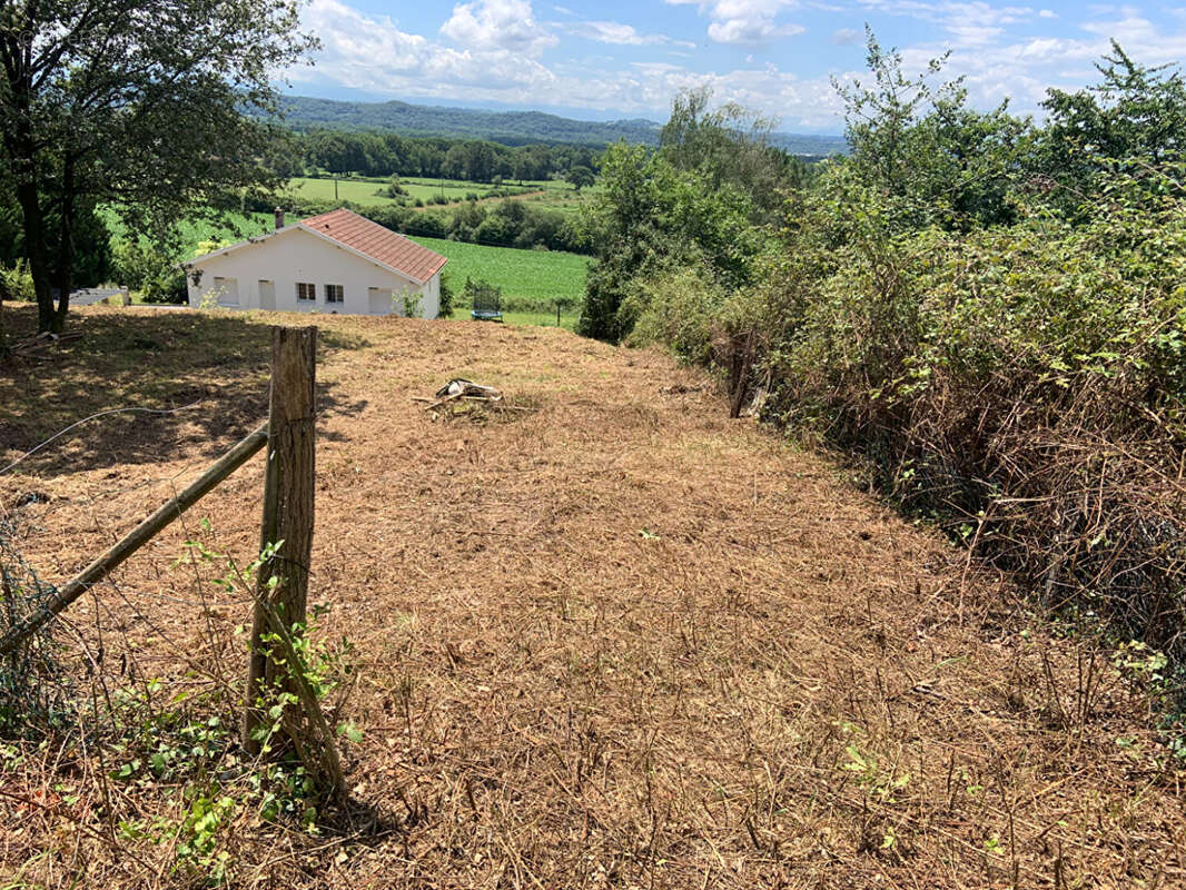 49891100i.jpg - Terrain à LABASTIDE-MONREJEAU