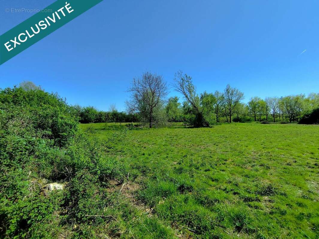 Photo 5 - Terrain à CASTELSARRASIN