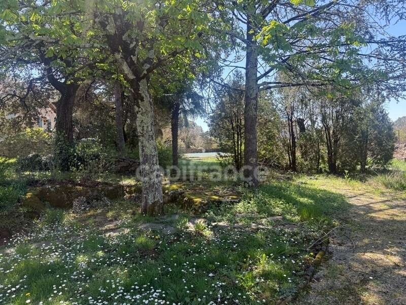 Propriété à vendre 11 pièces /Anduze (30) authentique Mas Cévenol sur terrain 2615 m2 - photo 2