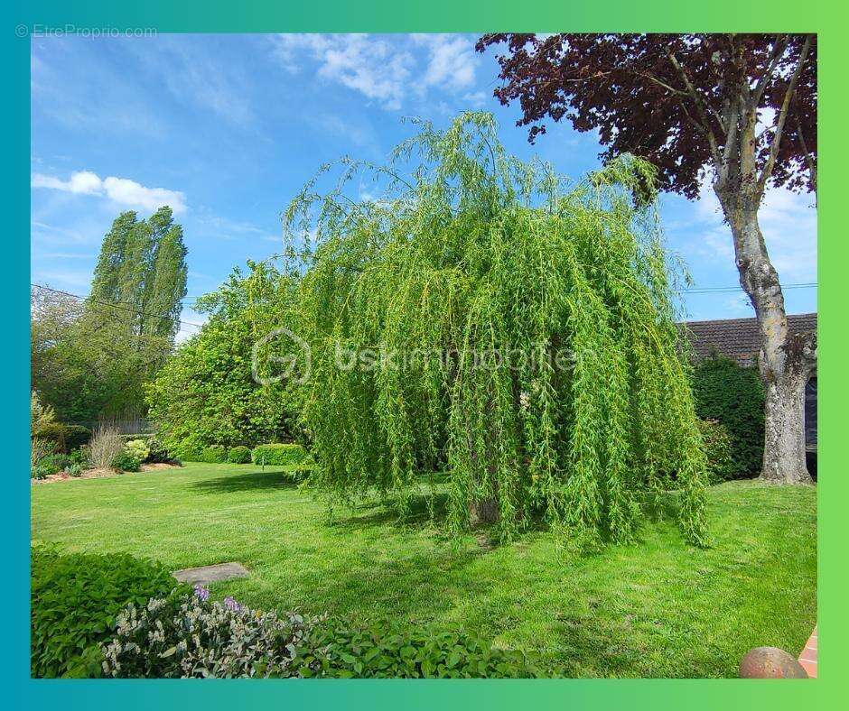 Maison 150 m² à Coulommiers  - photo 3
