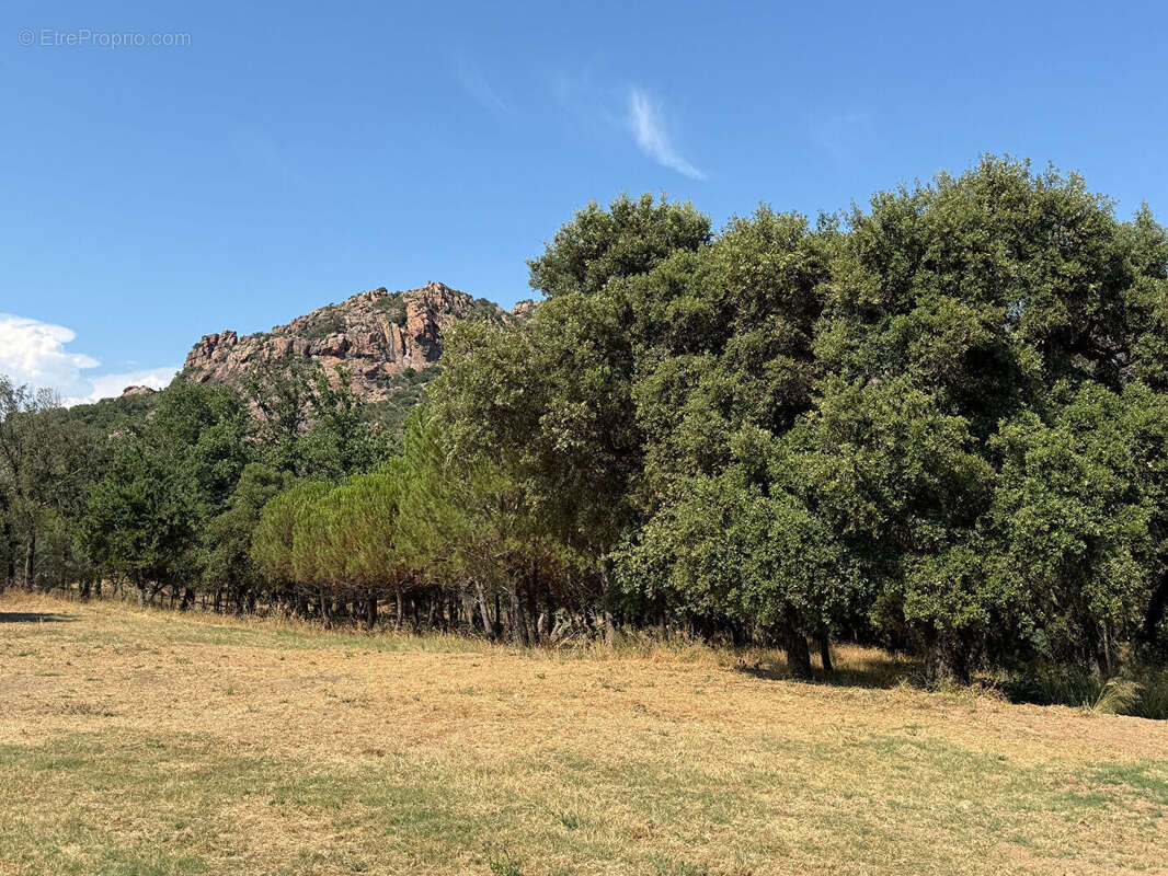Villa Roquebrune Sur Argens 4 pièce(s) 150 m2 - photo 3