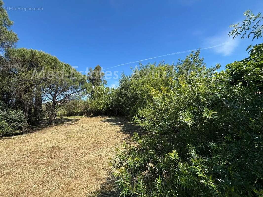 Terrain à GRIMAUD