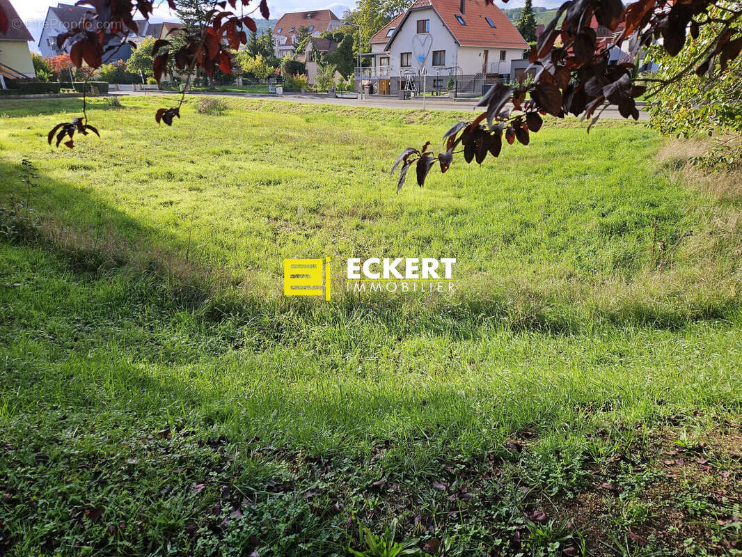 Terrain à MOLSHEIM