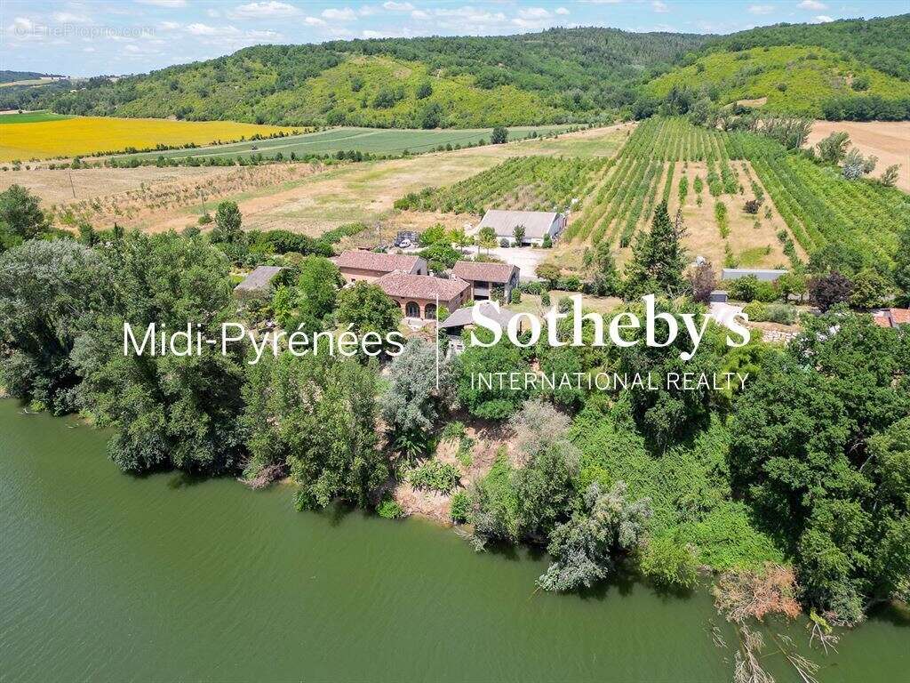 Propriété au bord du Tarn, idéale événementiel - photo 5