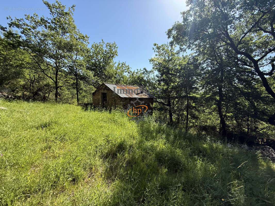 Vente Mazet Versols et Lapeyre, 1,25 hectares de terrains - photo 10