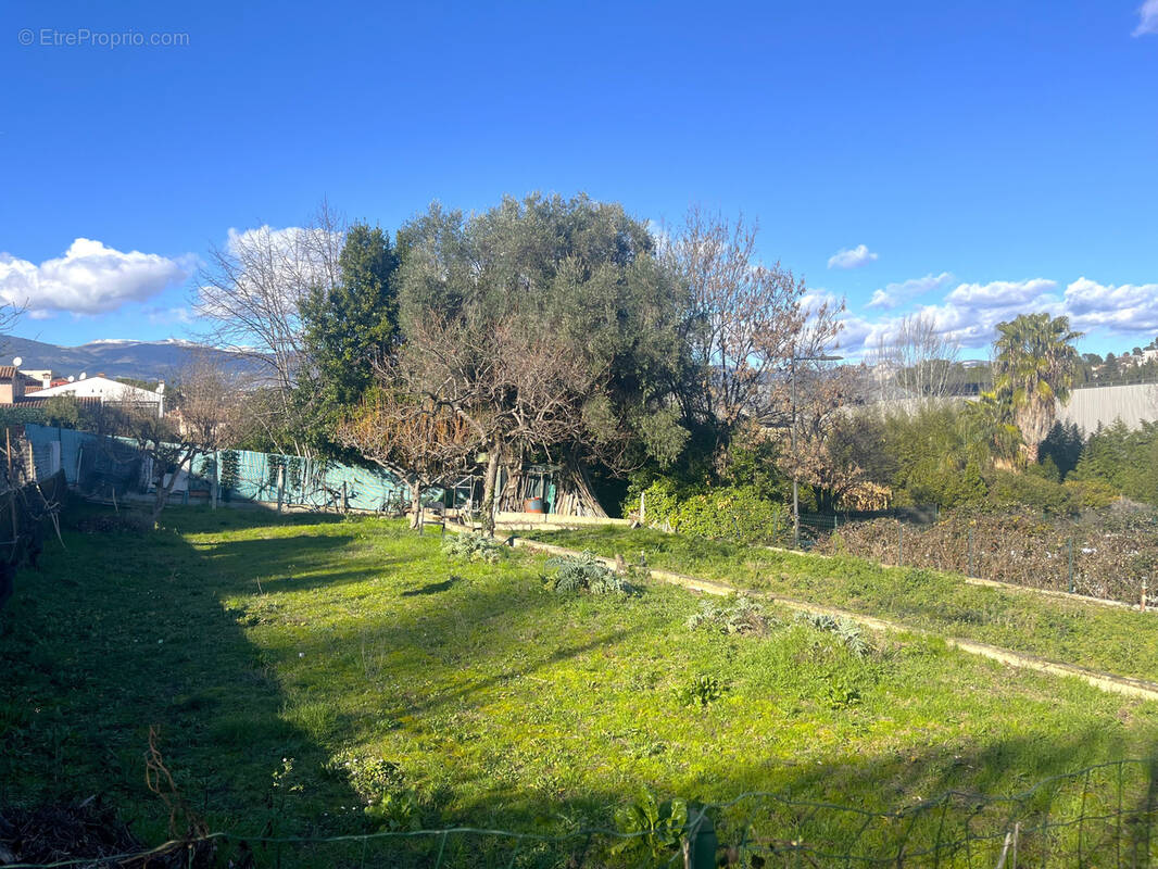 Terrain à CAGNES-SUR-MER