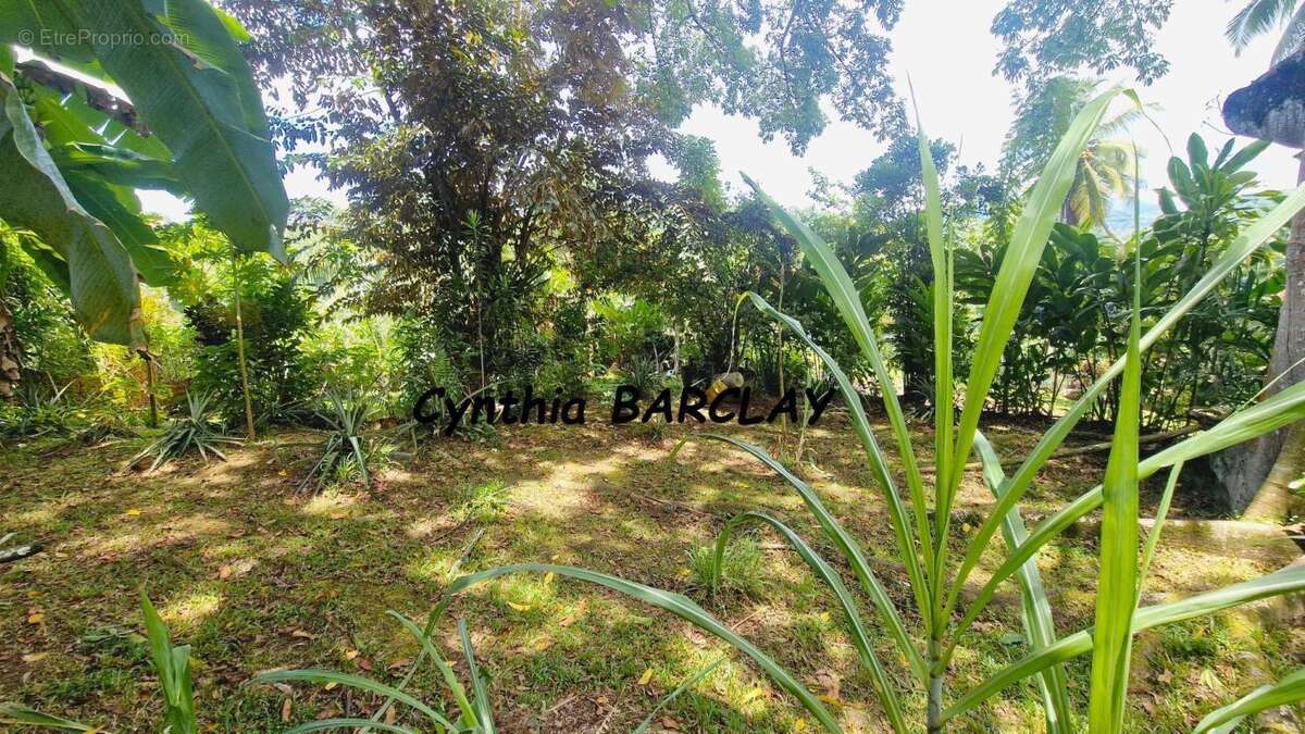 Maison à SAINT-JOSEPH