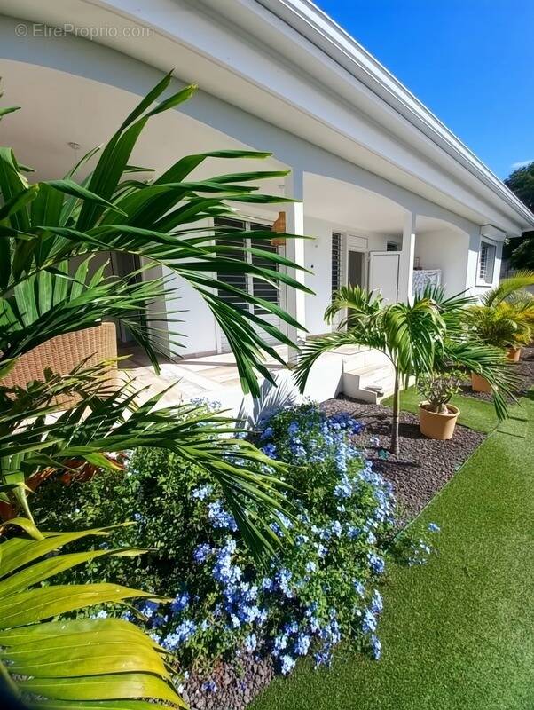 Maison à SAINTE-ANNE