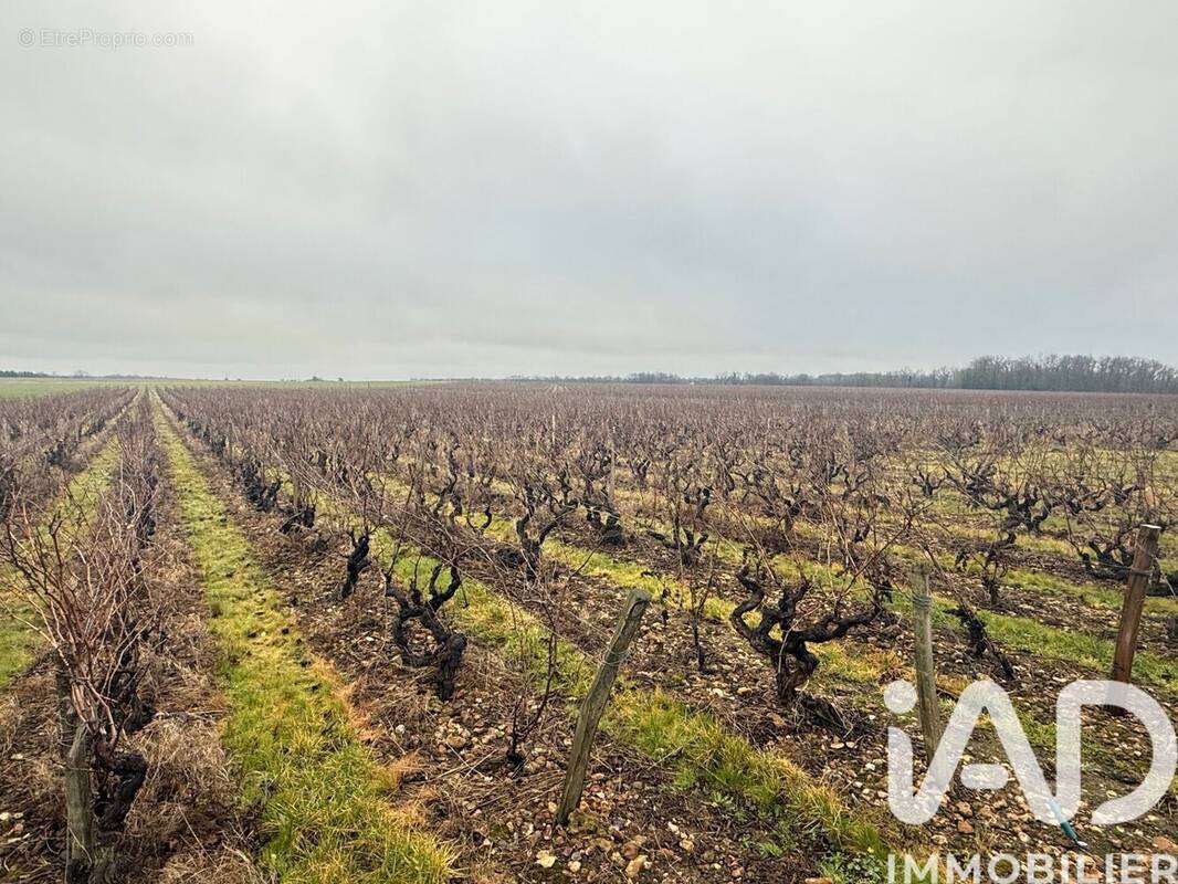 Photo 1 - Terrain à VERNOU-SUR-BRENNE