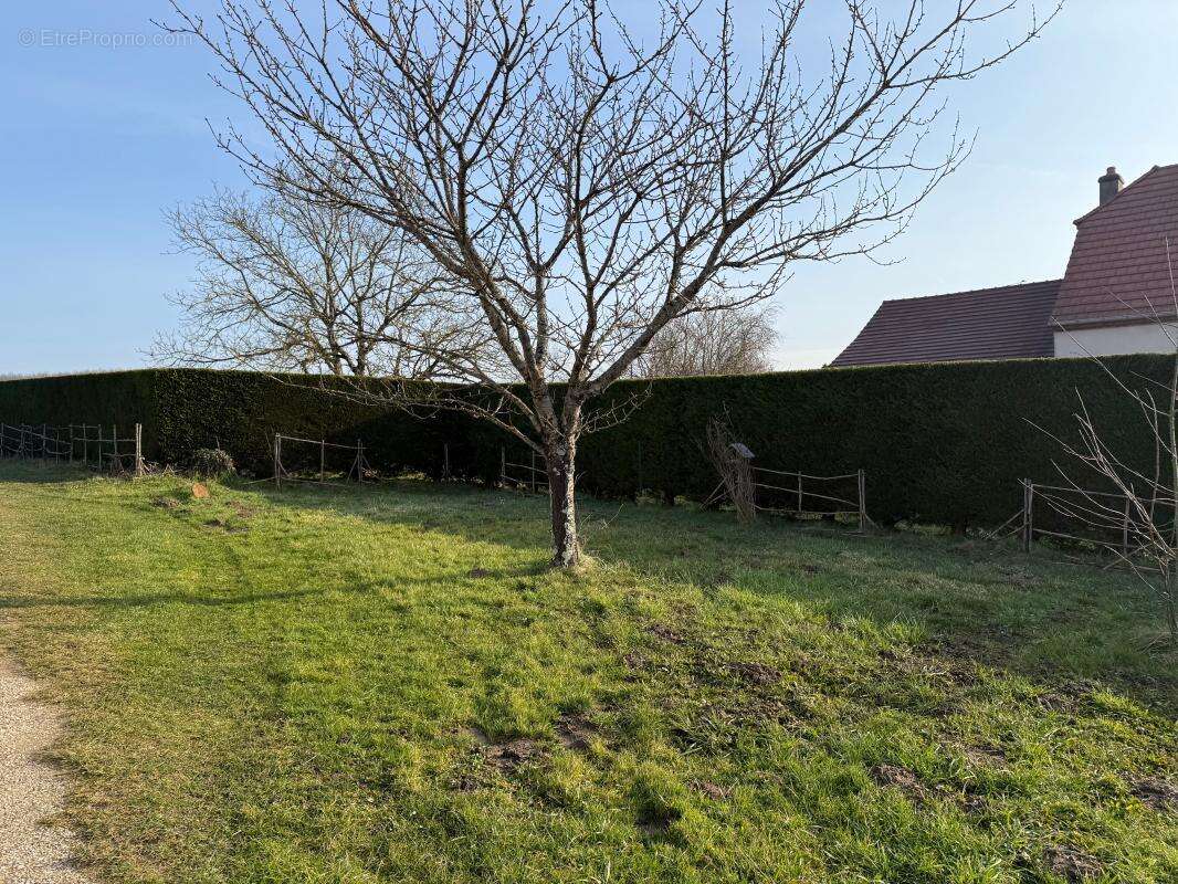 Maison à MAGNY-MONTARLOT