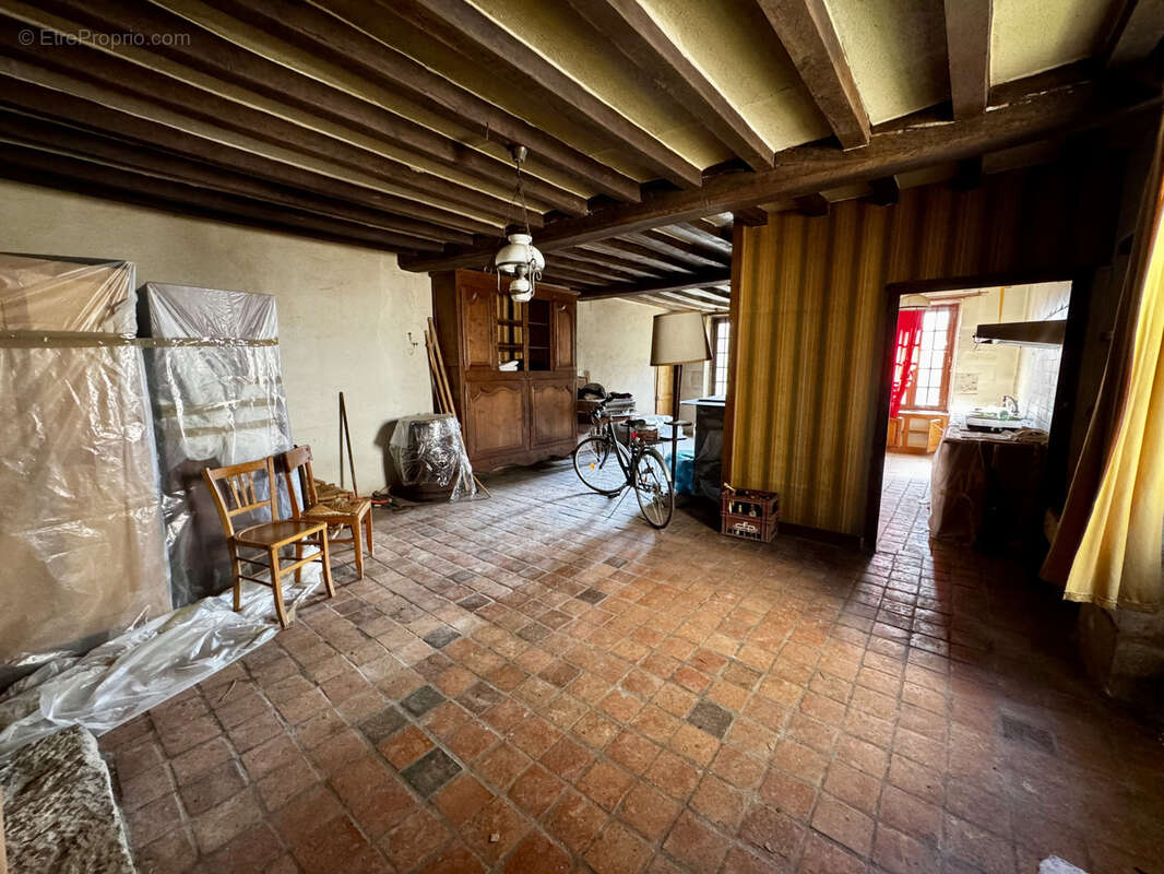 Maison à OUSSON-SUR-LOIRE