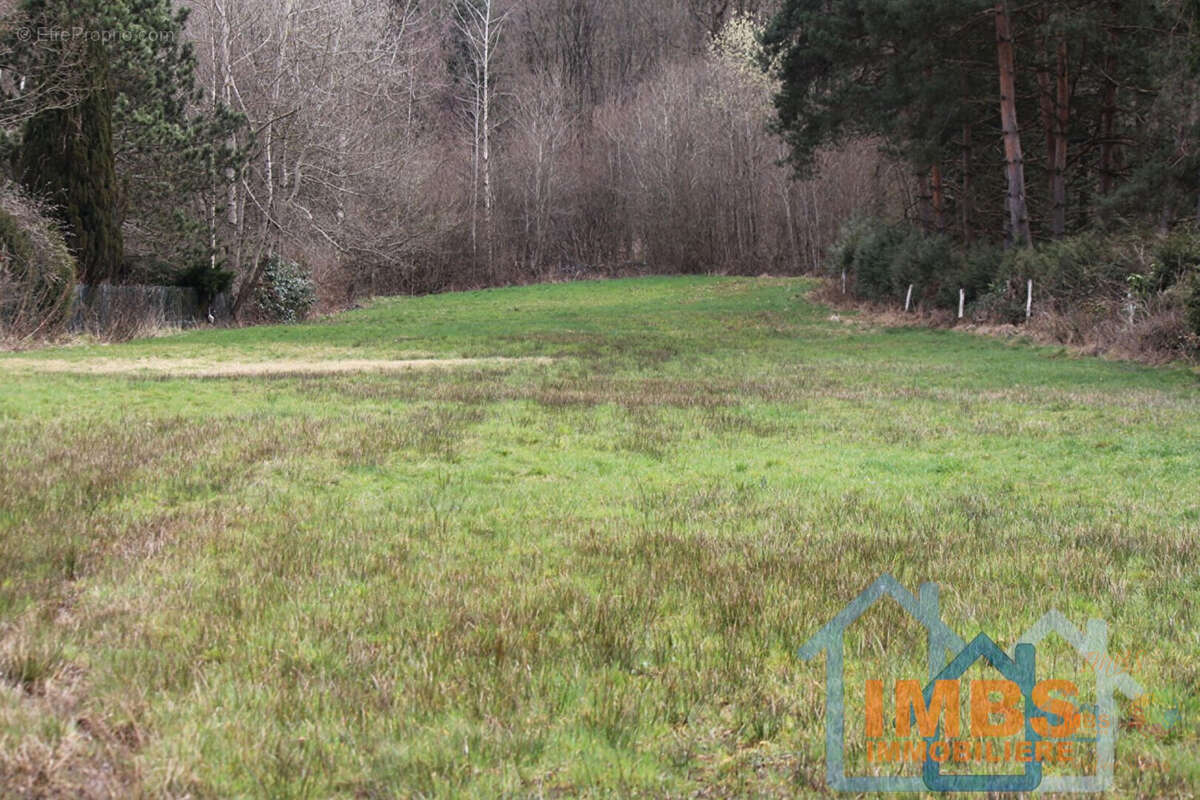 Terrain à EVETTE-SALBERT