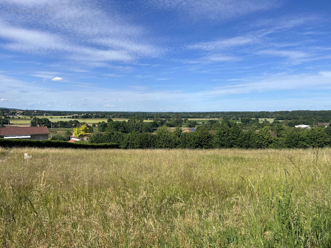 Terrain à SAINT-ALBAIN