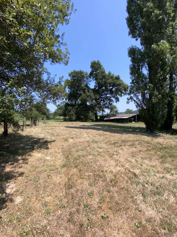Ferme 10 hectares Monein - photo 20