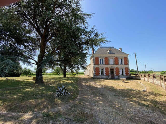 COZES Ancienne propriété viticole 305 m2 habitables 7 chambres 17 pièces au total - photo 2