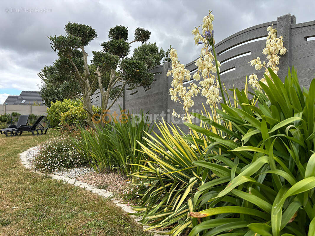 Maison de plain pied 3 chambres - COURCY - photo 14