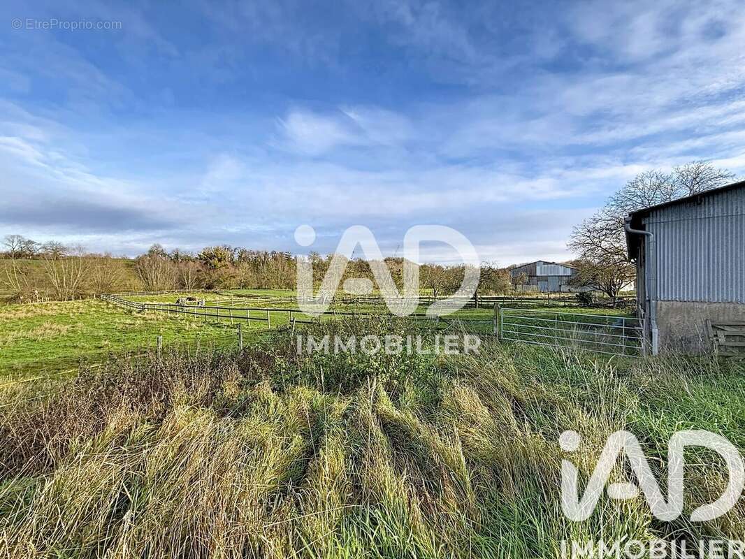 Photo 6 - Maison à NUBECOURT