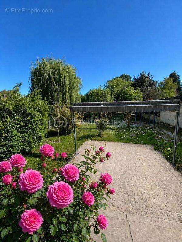 Maison de caractère avec jardin arboré – Un véritable coup de cœur aux portes de Fontainebleau et Moret sur Loing - photo 6