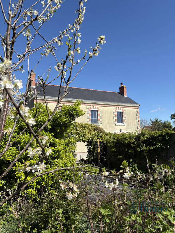 Maison à DOUE-LA-FONTAINE