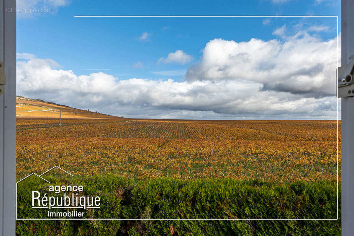 Photo 4 - Appartement à NUITS-SAINT-GEORGES